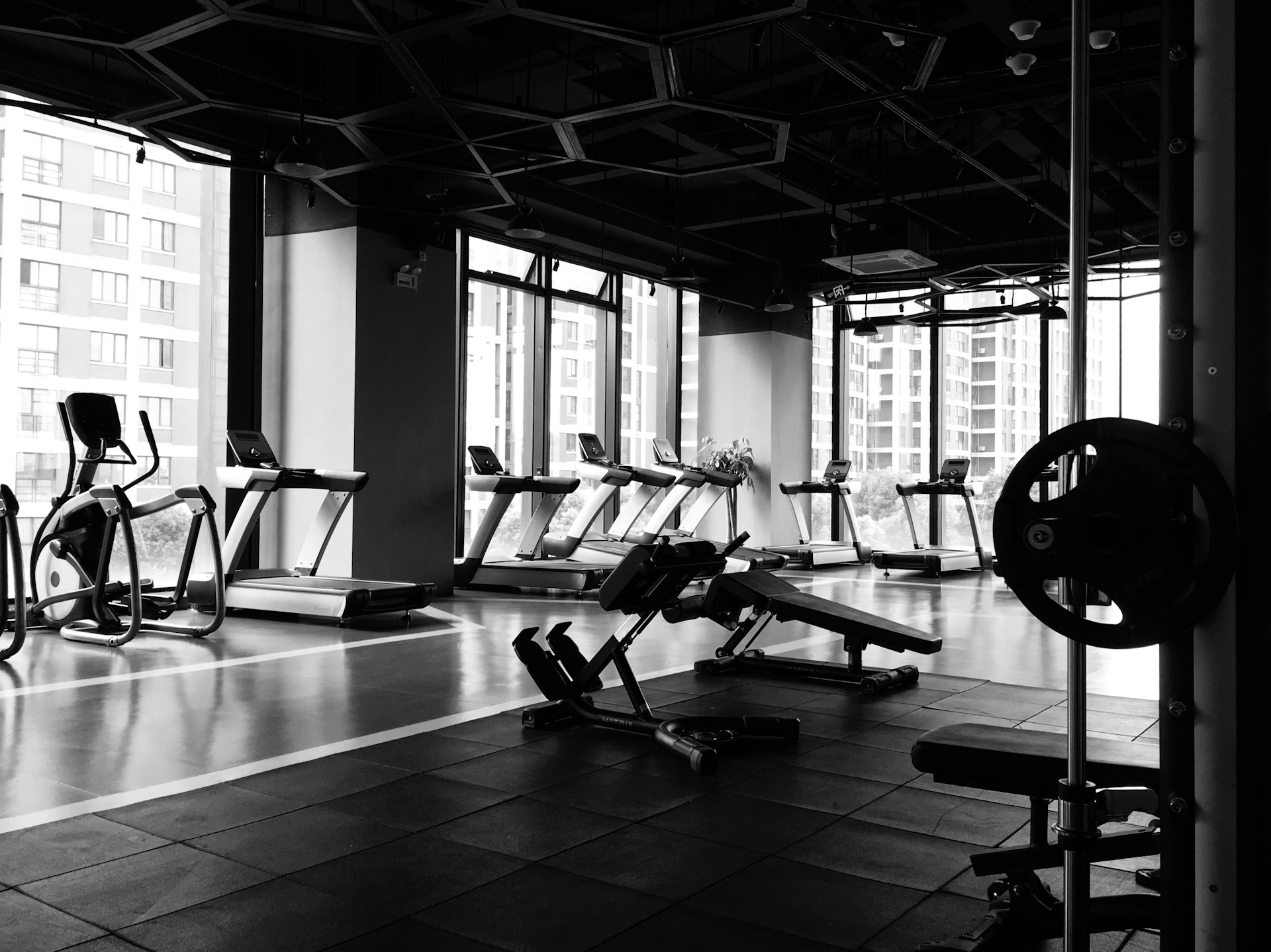 Treadmills and ellipticals by windows with nice views of the city, plus benches for lifting